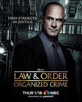 法律与秩序：组织犯罪第四季 第04集